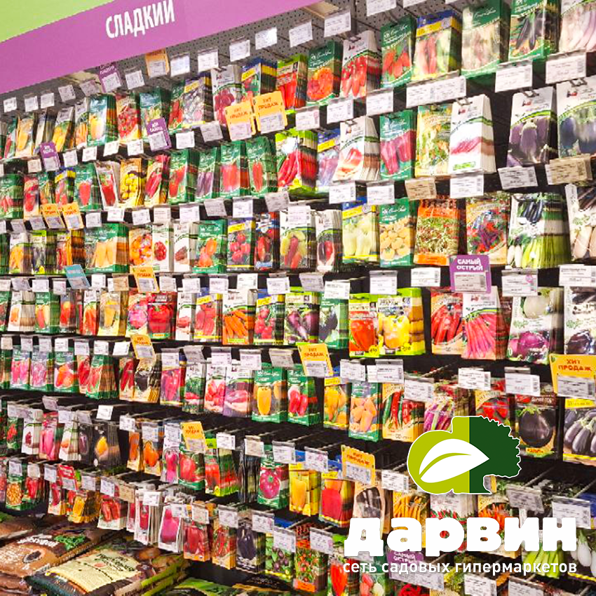 семена овощей