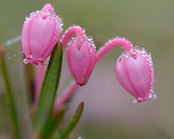 купить подбел купить подбел