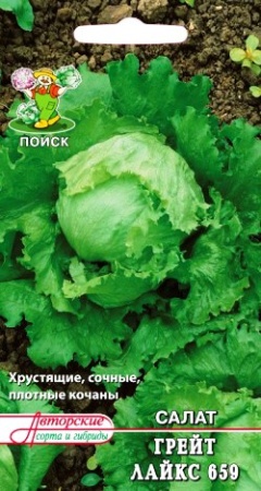 Семена салат Грейт Лайкс 659 1г Поиск 