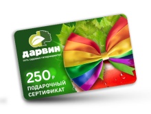 Подарочный сертификат 250 руб. по цене 