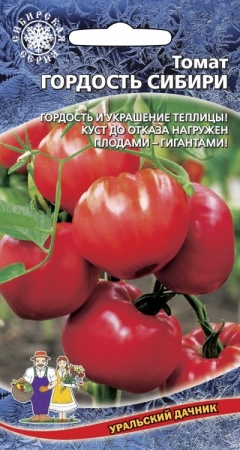 Семена томат гордость Сибири 20шт Уральский Дачник 
