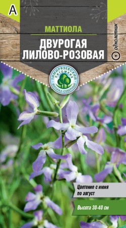 Семена Tim/цветы маттиола двурогая Лилово-розовая 0,5г 